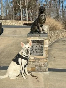MAKING HISTORY: America’s First Veteran Service Dog Memorial
